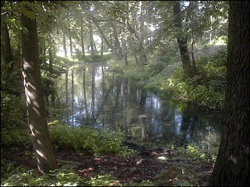 photo "Enchanted Mirror" tags: landscape, summer