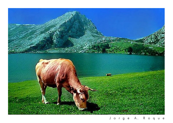 photo "Milky scenery" tags: landscape, mountains