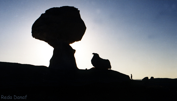 photo "Silhouette" tags: travel, landscape, Africa, sunset