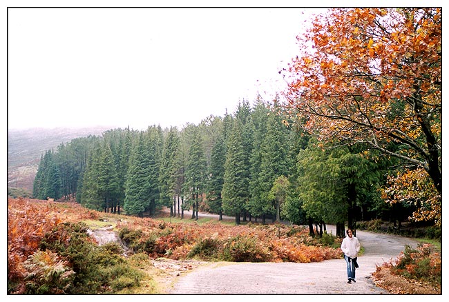 photo "Walking alone" tags: landscape, autumn, mountains