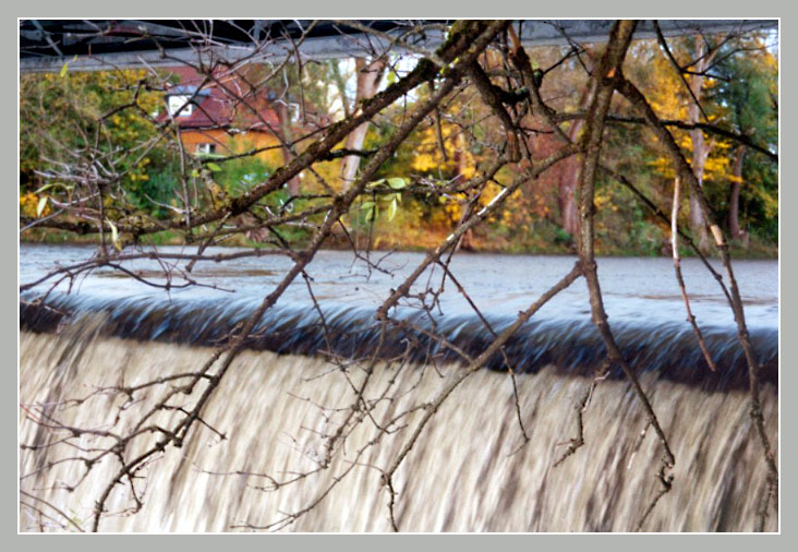 photo "Autumn, water and branches" tags: landscape, autumn, water