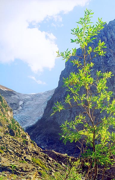 photo "Ice Age" tags: landscape, nature, mountains