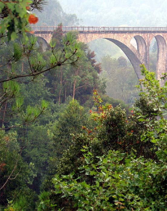 photo "Landscape in one day of rain and fog" tags: misc., 