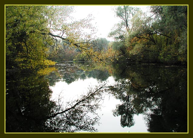 photo "Autumn Dnepr" tags: landscape, autumn, water