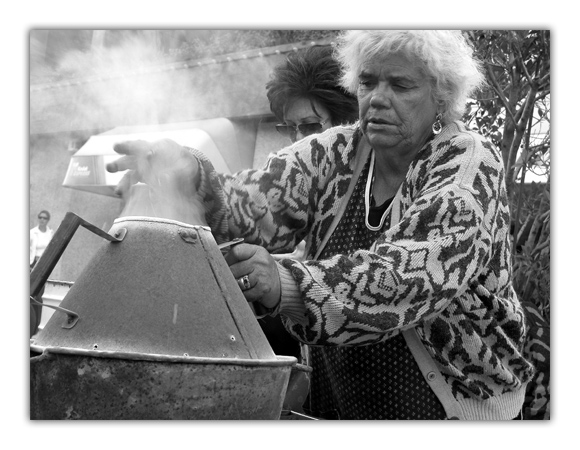 фото "Chestnut salesman!" метки: разное, 