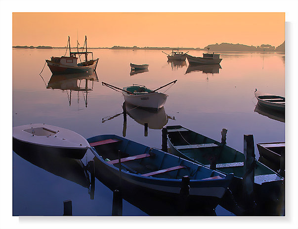 photo "Itajai harbor`s" tags: landscape, travel, South America, water