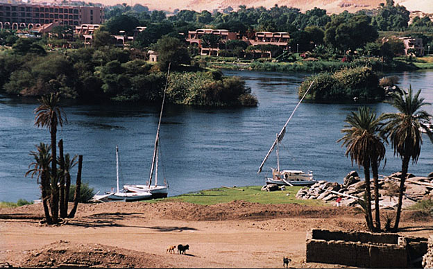photo "By the Nile" tags: landscape, travel, Africa, water