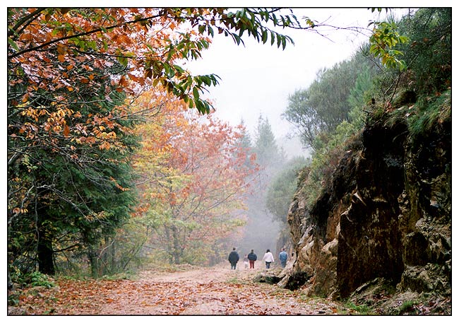 photo "Into the fog" tags: landscape, travel, Europe, autumn