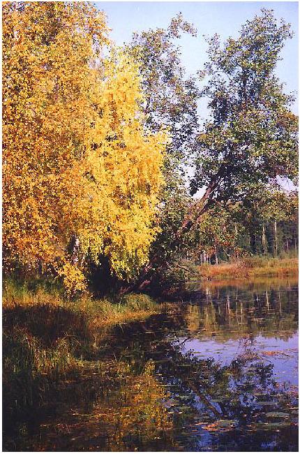 фото "У реки" метки: пейзаж, вода, осень