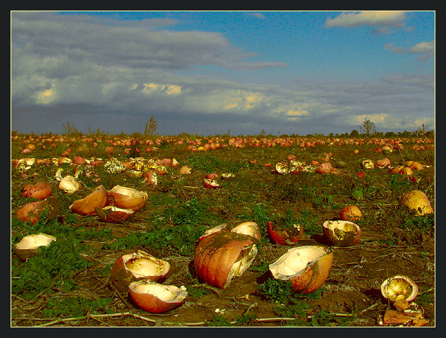 photo "Field of miracles" tags: landscape, travel, Europe, autumn