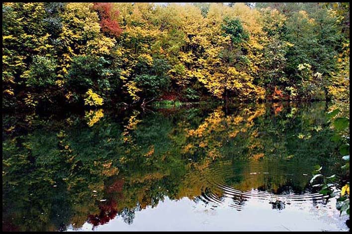 photo "Polotniany zavod   2" tags: landscape, travel, Europe, autumn