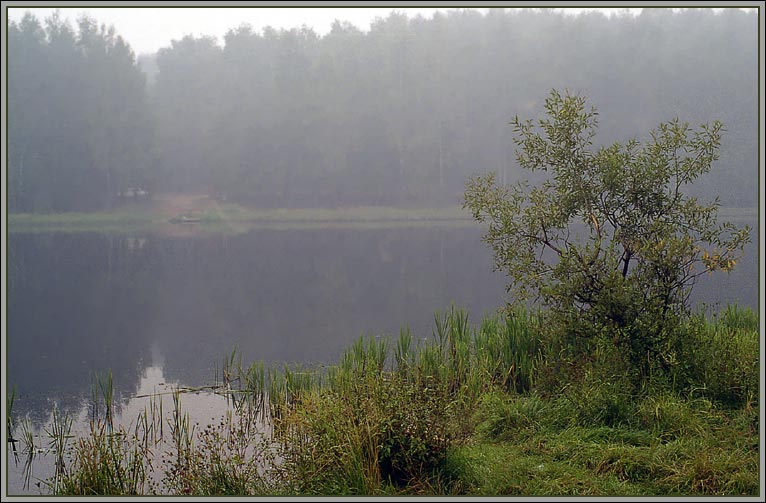 фото "!!" метки: разное, 