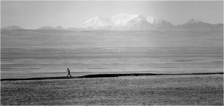 photo "Tibetian pedestrian" tags: genre, landscape, mountains