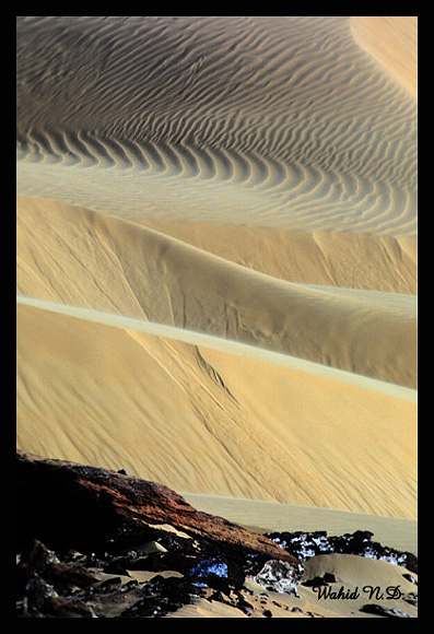 фото "Sand Dune # 5" метки: пейзаж, путешествия, Африка