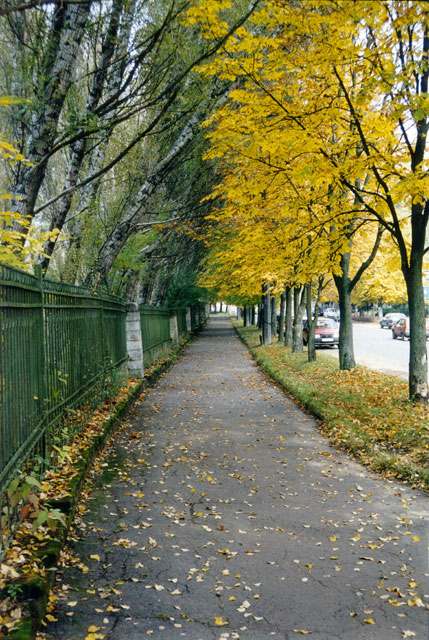 фото "Осень" метки: пейзаж, осень