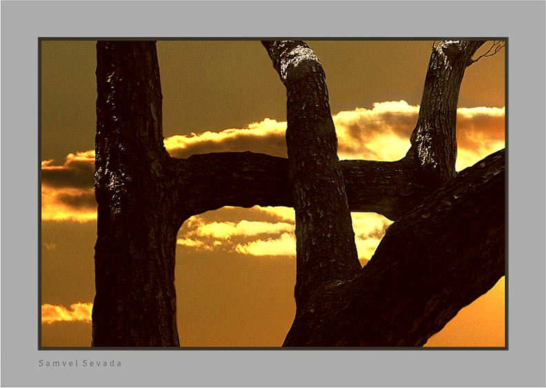 photo "S U N S E T" tags: landscape, clouds, sunset