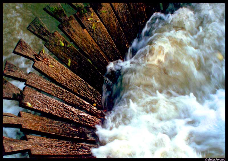 photo "Untitled" tags: misc., 