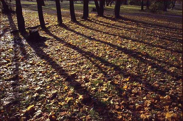 photo "Long shadows` time" tags: landscape, autumn