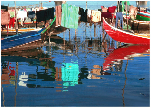 фото "Vimieiros-Portugal" метки: природа, репортаж, 