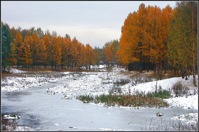 photo "****" tags: landscape, autumn, forest