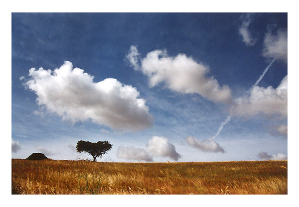 photo "Made in Alentejo ..." tags: landscape, clouds