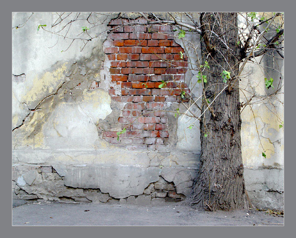 photo "Cracked wall" tags: architecture, landscape, 