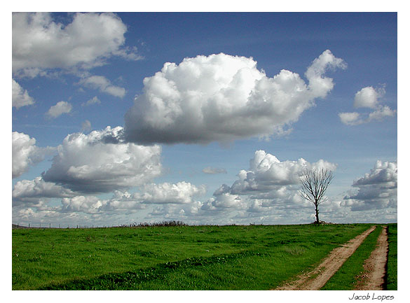 фото "to be doing well" метки: пейзаж, облака, осень