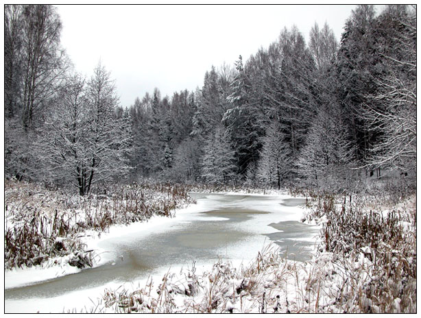 photo "The wood river, November..." tags: landscape, forest, winter