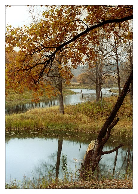 photo "Sad autumn" tags: landscape, autumn