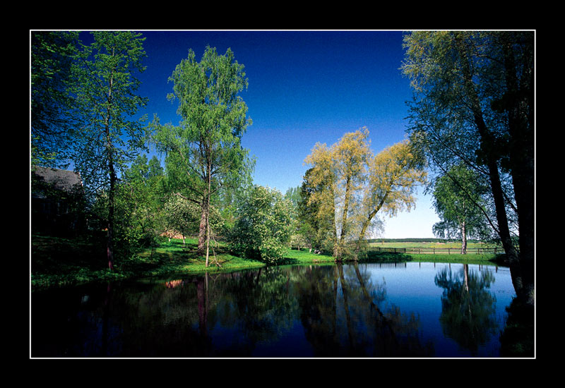 photo "v.Mischailovskoe" tags: landscape, summer