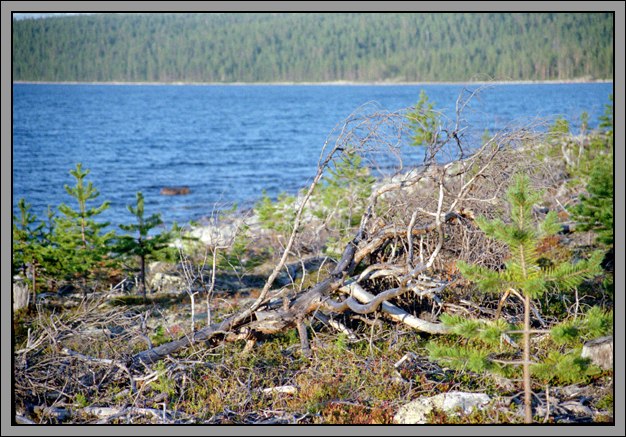 photo "Karelian beach" tags: travel, landscape, Europe, water