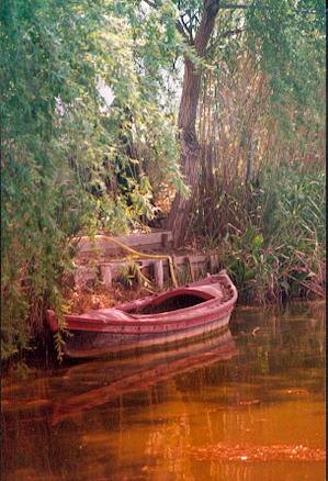 фото "My Boat" метки: пейзаж, вода