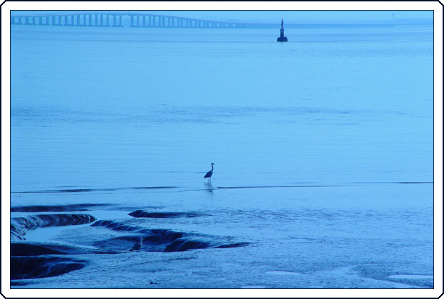 photo "Sentinels in blue" tags: landscape, nature, water, wild animals