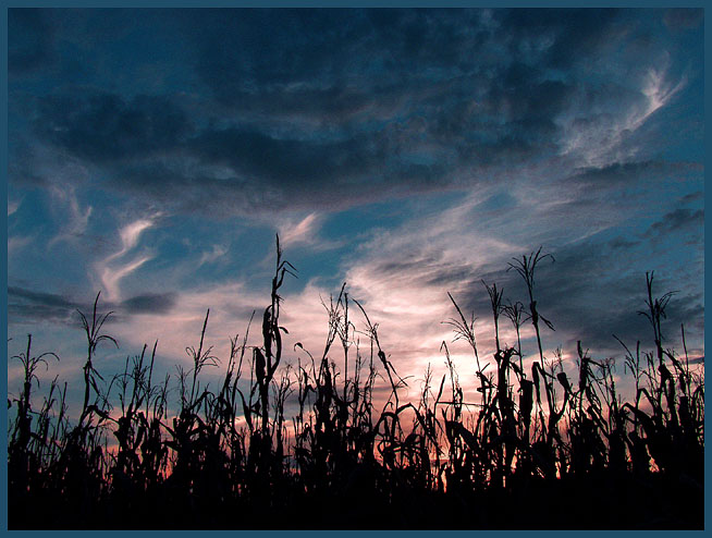 photo "Let the Harvest Begin" tags: landscape, autumn, sunset