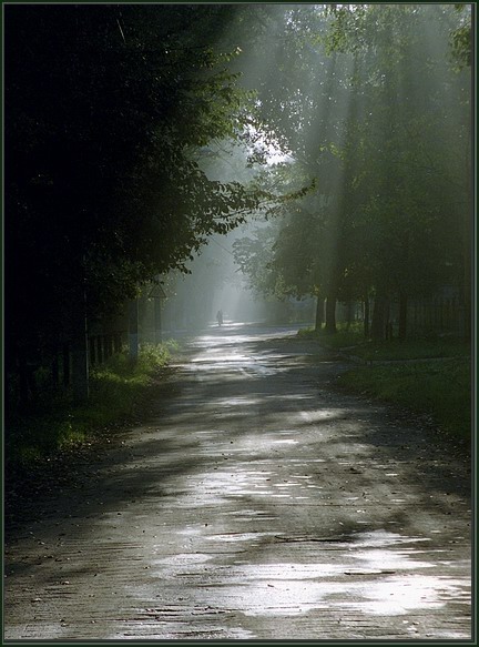 фото "Ранняя осень" метки: природа, пейзаж, лес, цветы