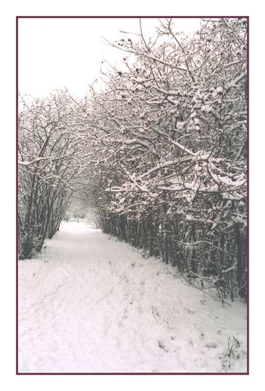 photo "Almost winter" tags: landscape, winter