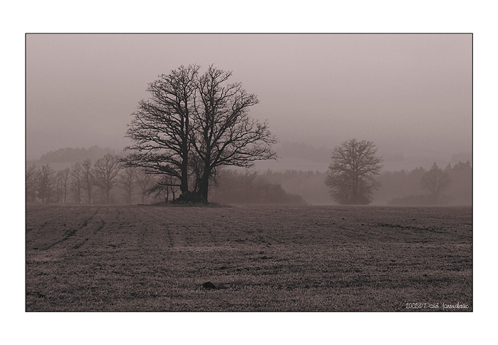 photo "A Foggy Day" tags: landscape, clouds