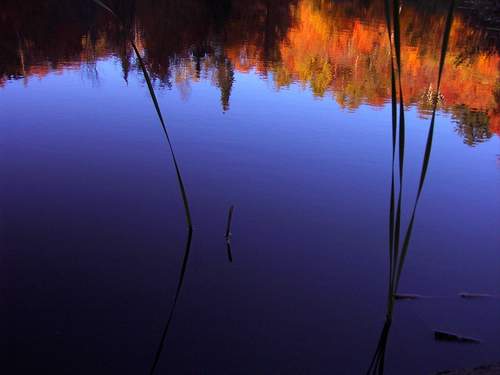 фото "Blues" метки: пейзаж, осень