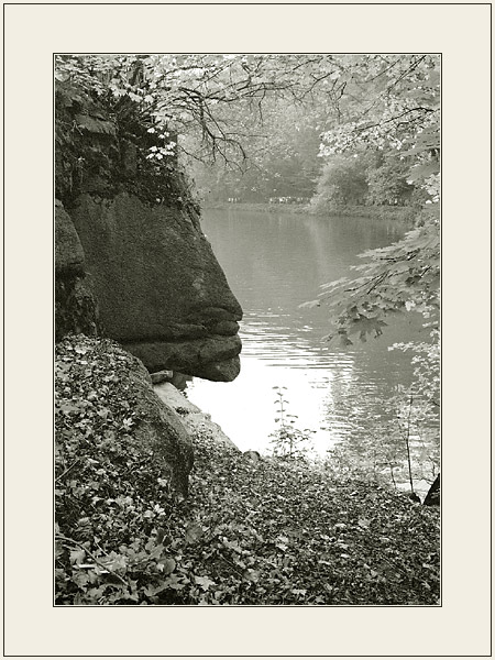 photo "Profile" tags: misc., landscape, autumn