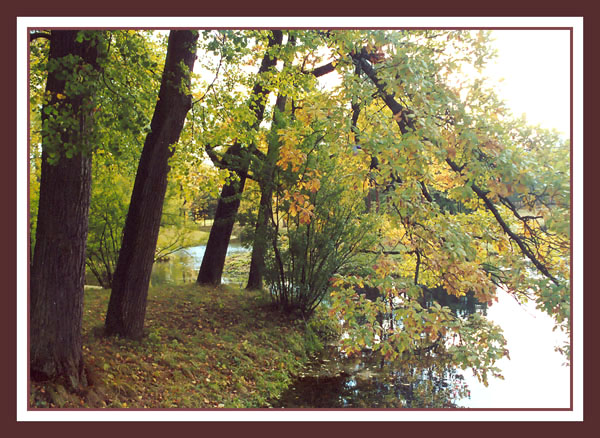 photo "Autumn in Pushkin" tags: landscape, nature, autumn, flowers