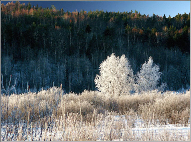 photo "In a valley..." tags: landscape, winter