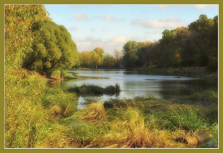 photo "Pond in October" tags: landscape, forest, water