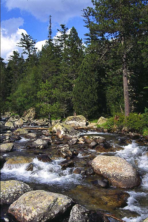 photo "River" tags: landscape, mountains, water