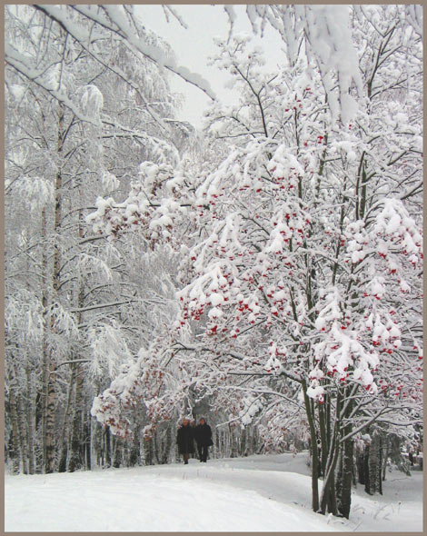 photo "Snow walk" tags: landscape, genre, winter