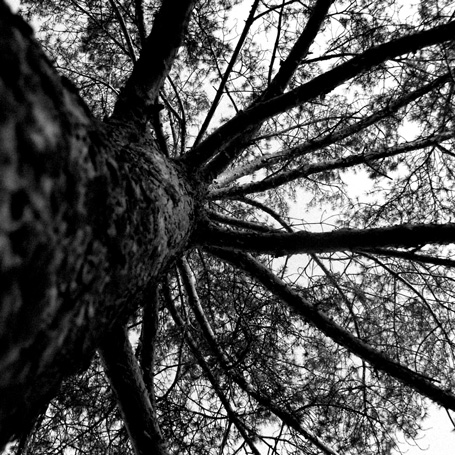 photo "****" tags: nature, 