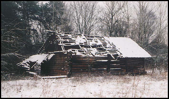 photo "Script of old age" tags: landscape, winter