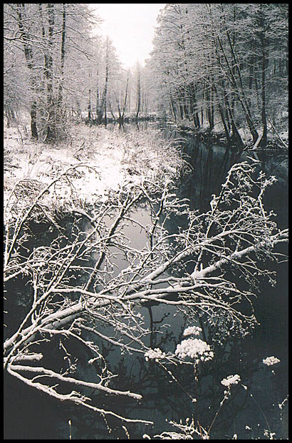 photo "Winter river" tags: landscape, water, winter