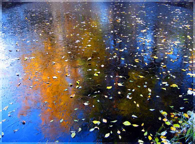 photo "Crystal mirror of a late autumn" tags: landscape, autumn, water