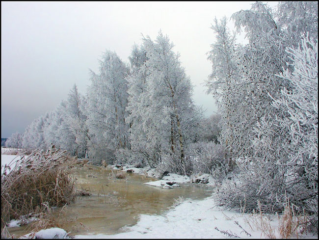 photo "Along the lake" tags: landscape, winter