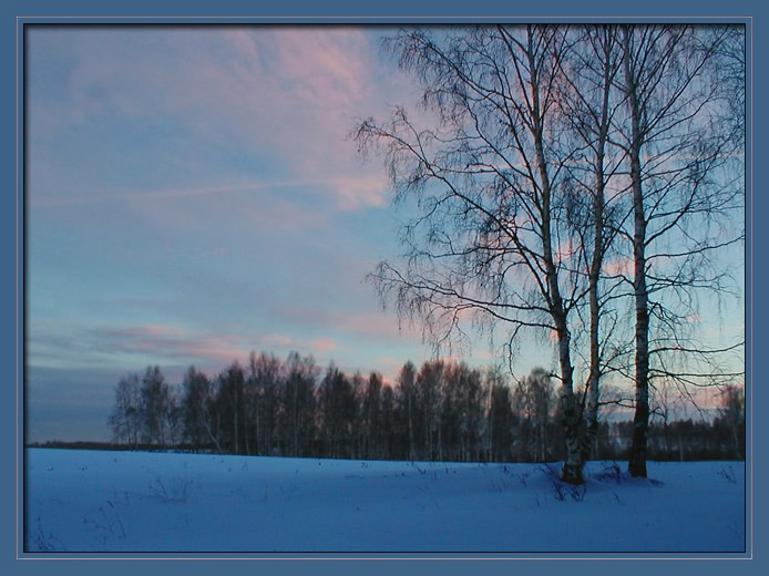 photo "Winter evening" tags: nature, 